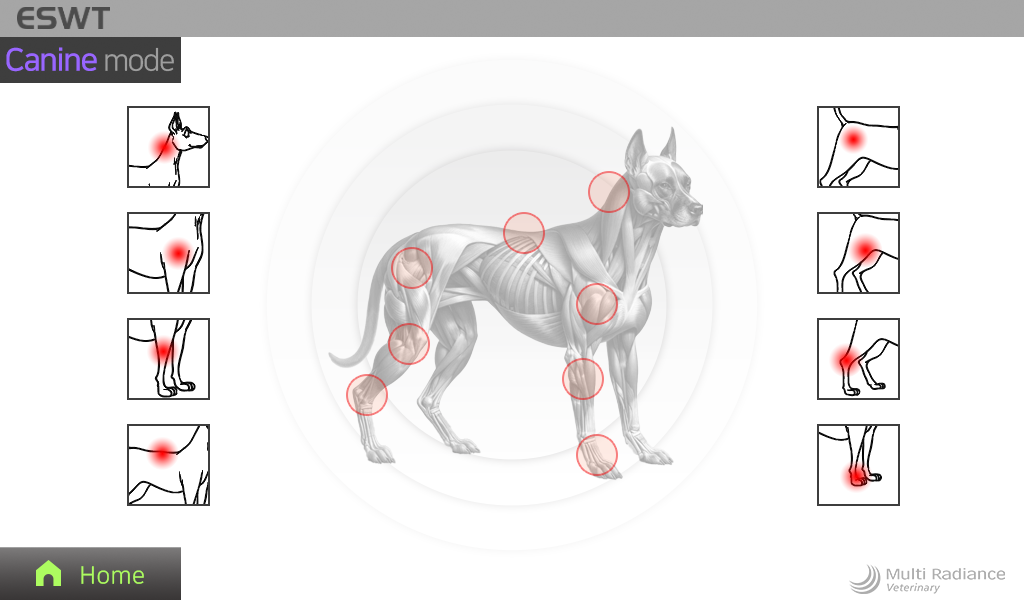 canine_25mm(1)