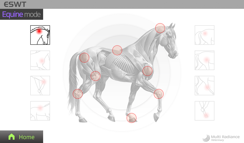 equine_25mm